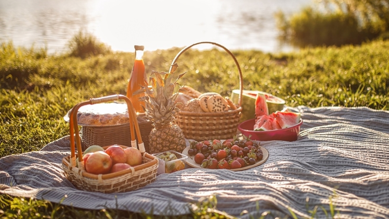 Picnic by the lake. Basket with berries, bread with ik. Nobody.